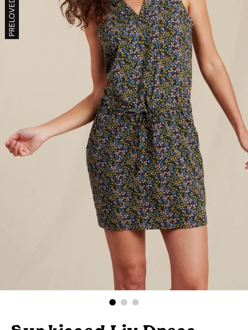 TOAD&CO Sun Kissed Liv Sleeveless Dress Cinched Waist and Pockets S